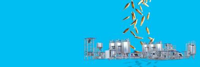 Processing line and oat grains