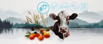 Oranges, cow, blue-icons, mountain background