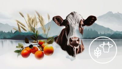 Oranges, cow, blue-icons, mountain background