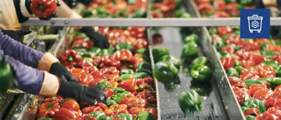 Minimising waste, sorting peppers, waste bin icon