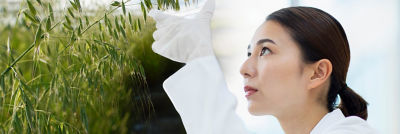 Laboratory woman and oat fields
