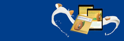 Download report, guide or infographic