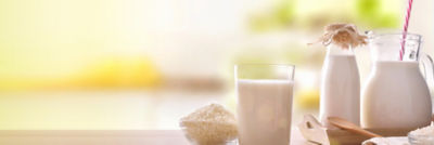 Plant-based dairy alternative rice milk