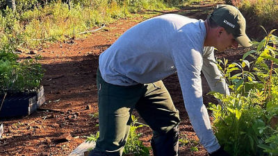 A man planting 