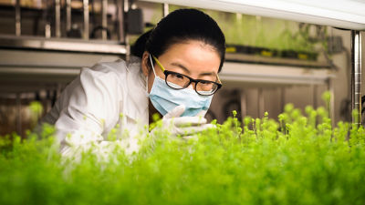Female scientist in food lab with plants