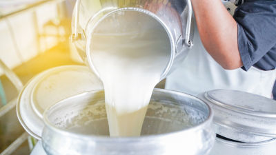 pouring milk