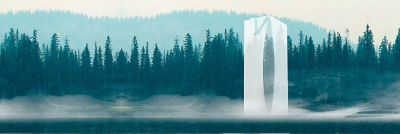 Semi transparent package and forest background