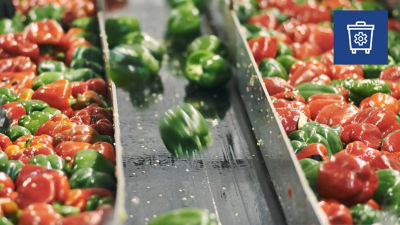 Minimise waste, sorting peppers, waste bin icon