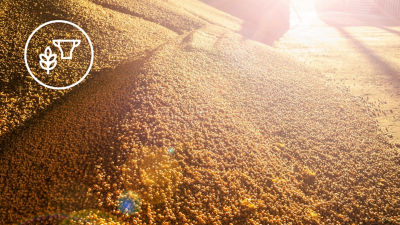 Soybean field sunset white food sources icon