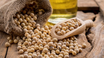 Soy beans in bag