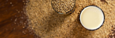 Spent grain and spent grain beverage