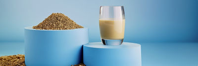 Spent grain, spent grain beverage