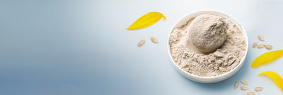 Sonnenblumen-Proteinpulver in Schale