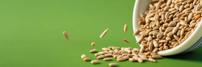 Sunflower seeds in bowl