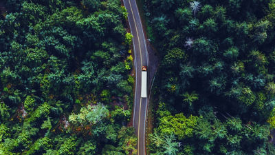 truck driving through the forest