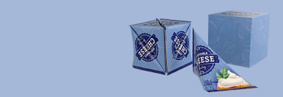 animated cartons on a blue background 