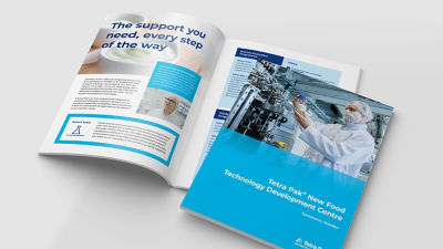 TDC brochure
