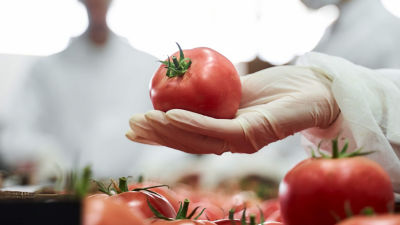 Mano sosteniendo un tomate