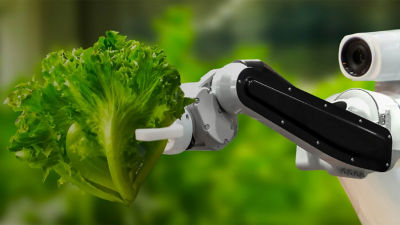 Robot sosteniendo una ensalada
