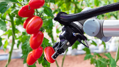 mano robótica sosteniendo un tomate en una fábrica 