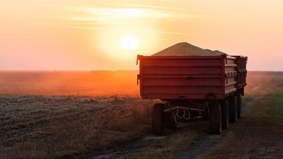 Trailer with soya beans