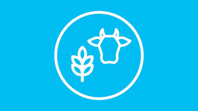 cow and grain icon