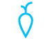 icon of a carrot