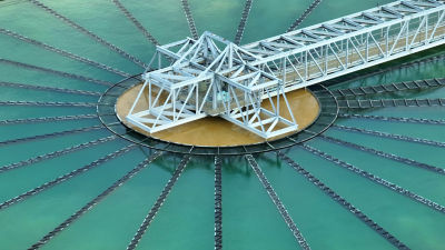 Water plant