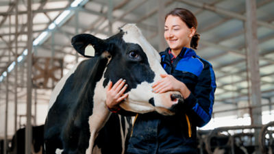 Woman with cows