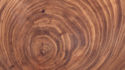Wood close up