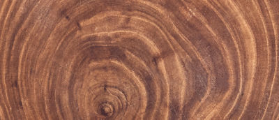 Wood close up