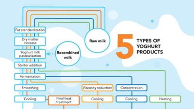 Processing steps yoghurt