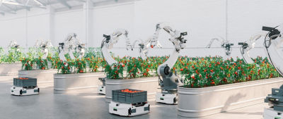 food quality check robot
