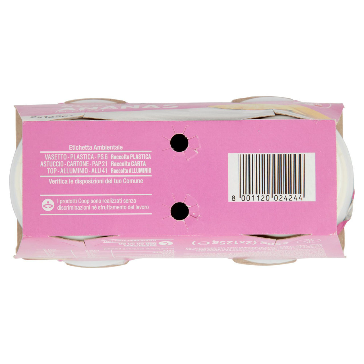 Yogurt magro con ananas 2 pz da 125 gr - Immagine 31