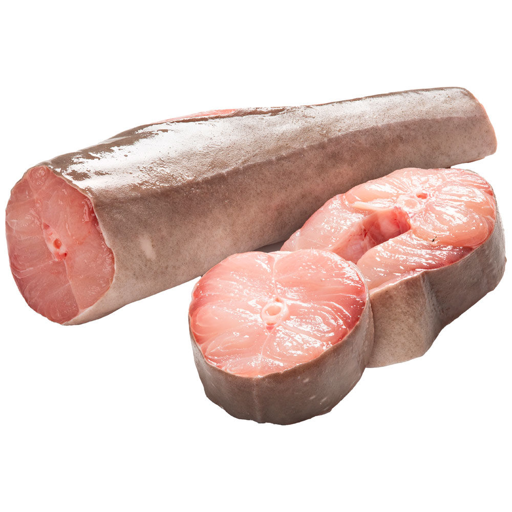 Palombi