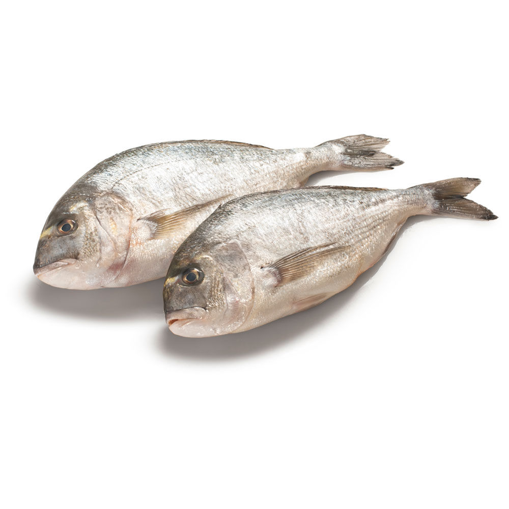 Orate allevate Croazia