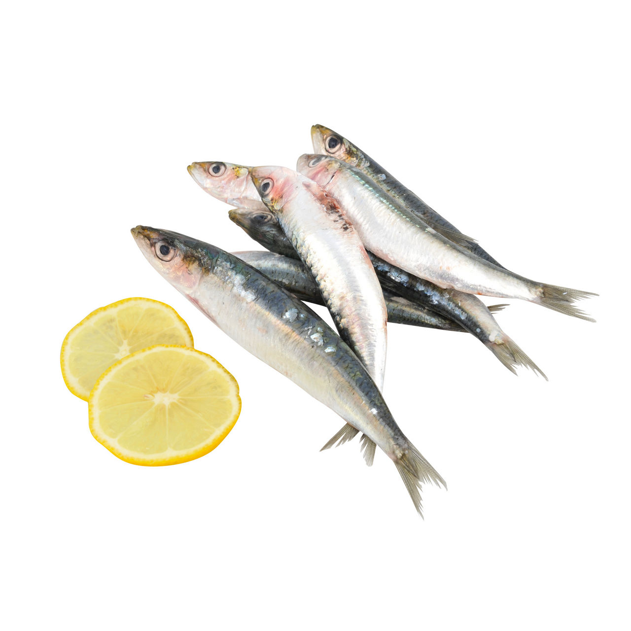 Sardine Mediterranee