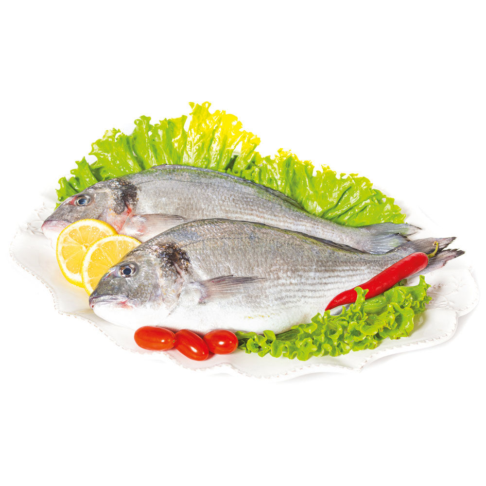 Orate allevate Liguria