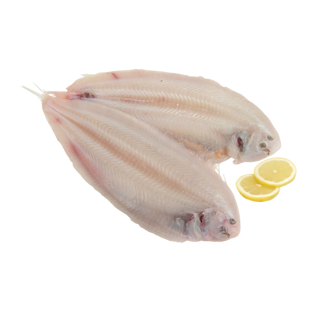 Sogliole