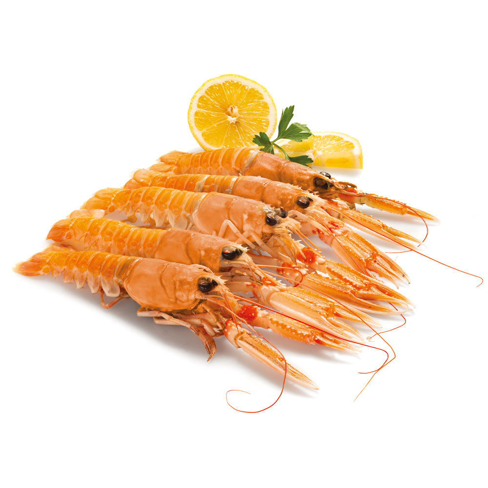 Scampi