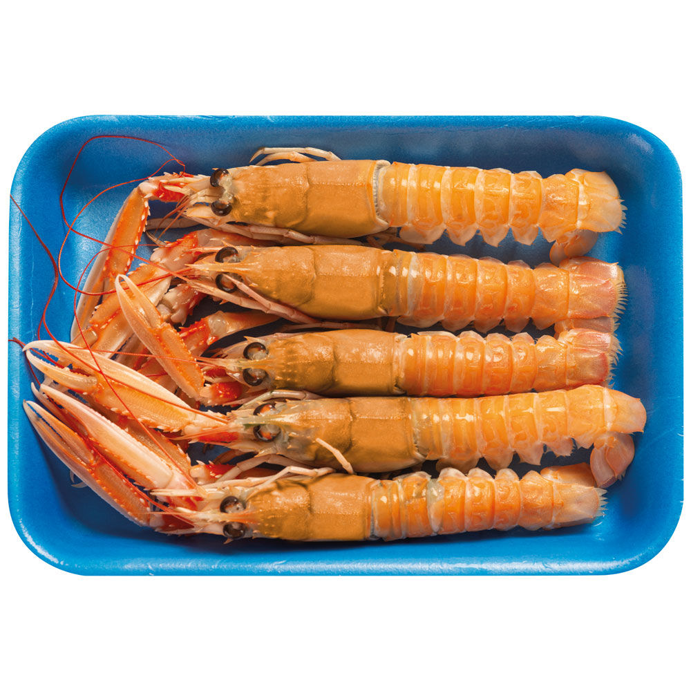 Scampi medi