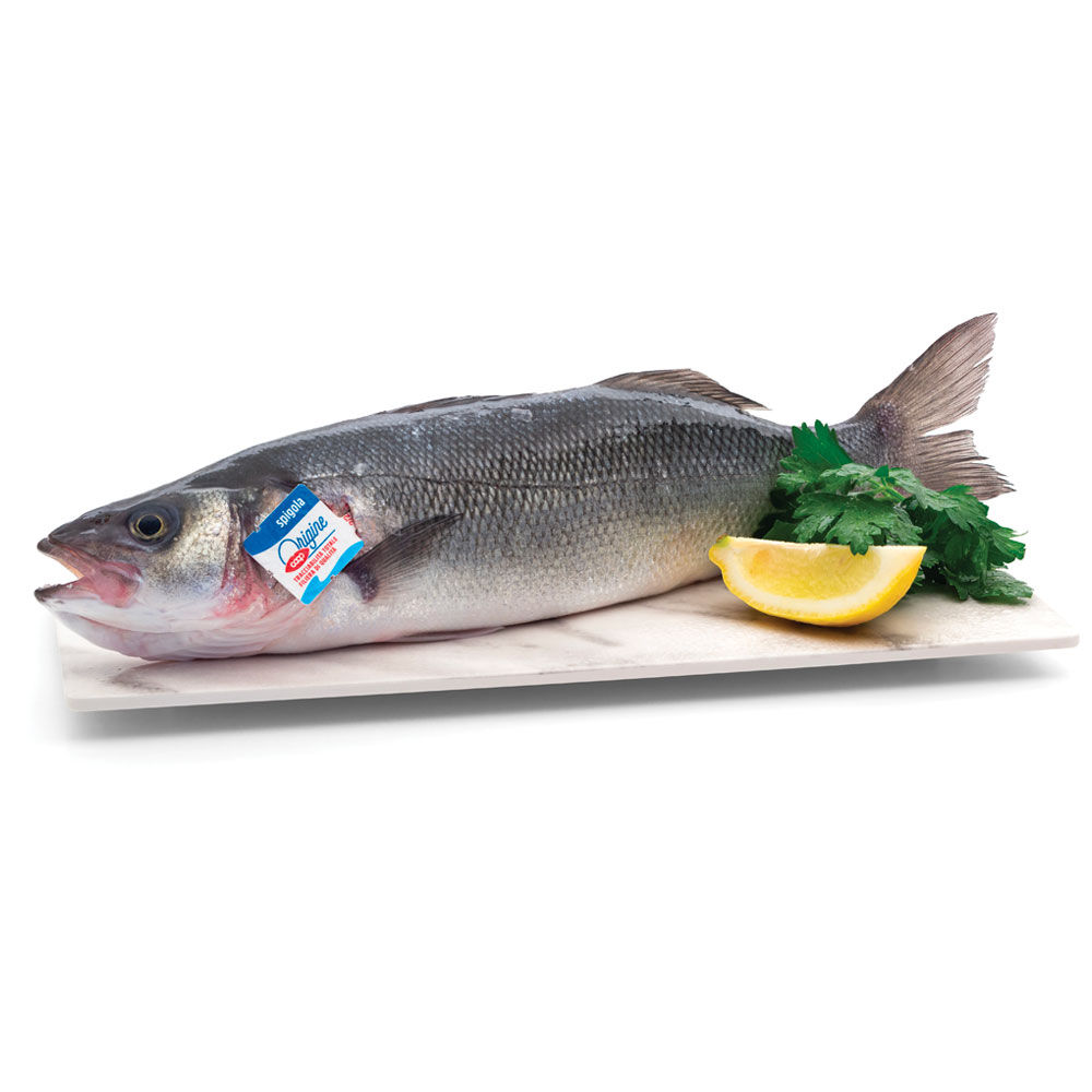 Branzini allevati Italia