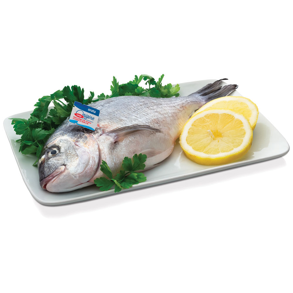 Orate allevate Italia - Immagine 01