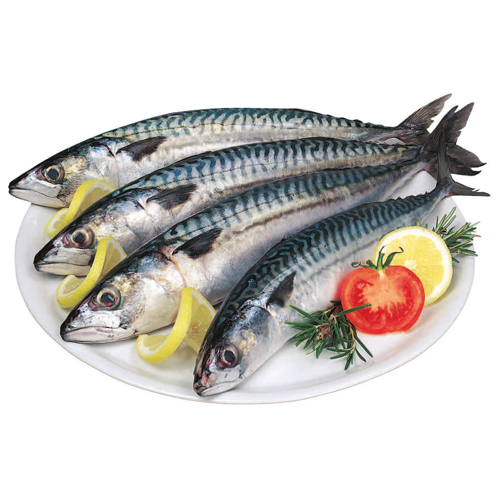 Sgombri grandi