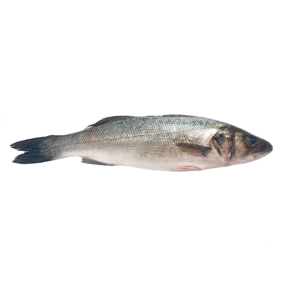 Branzini pescati