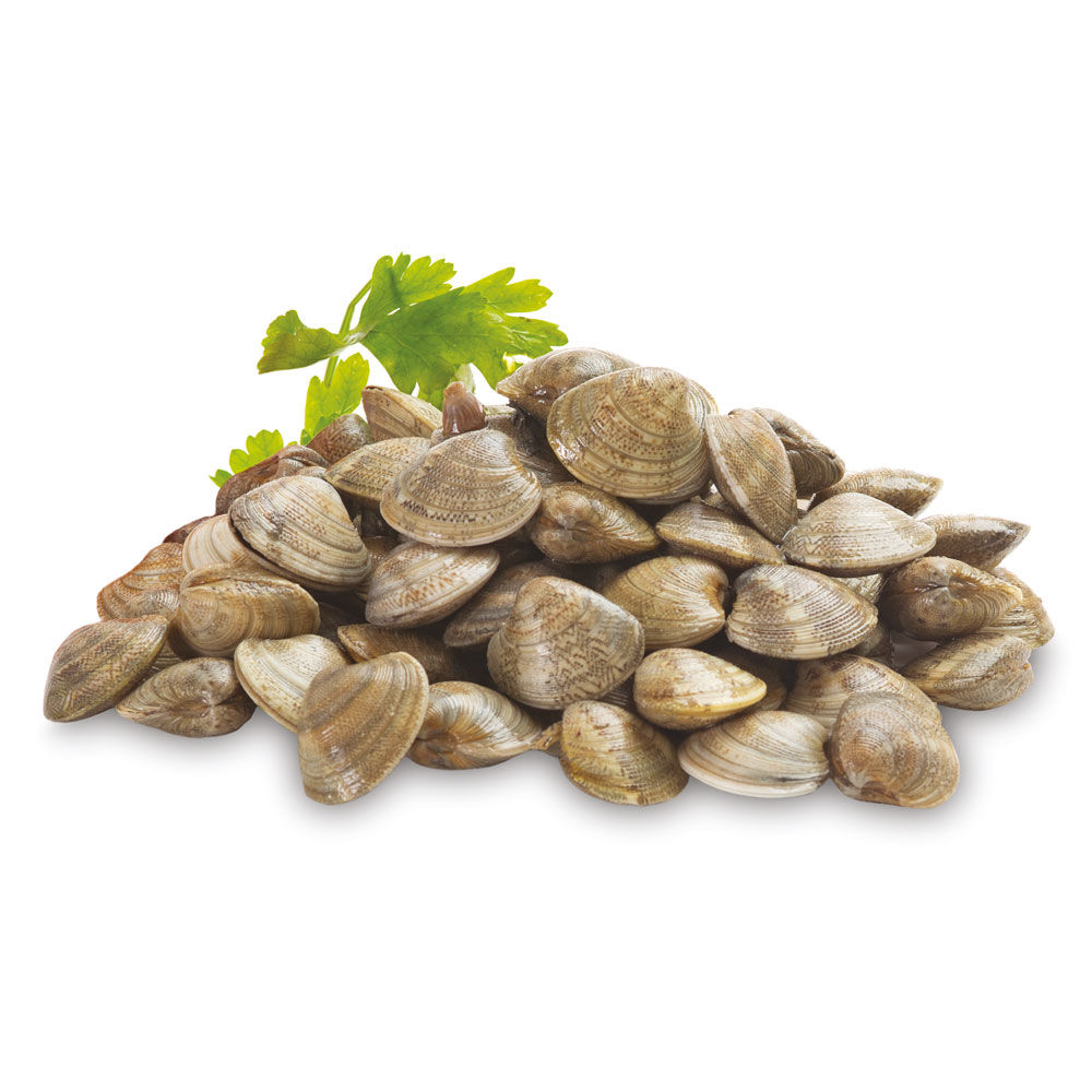 Vongole Lupini