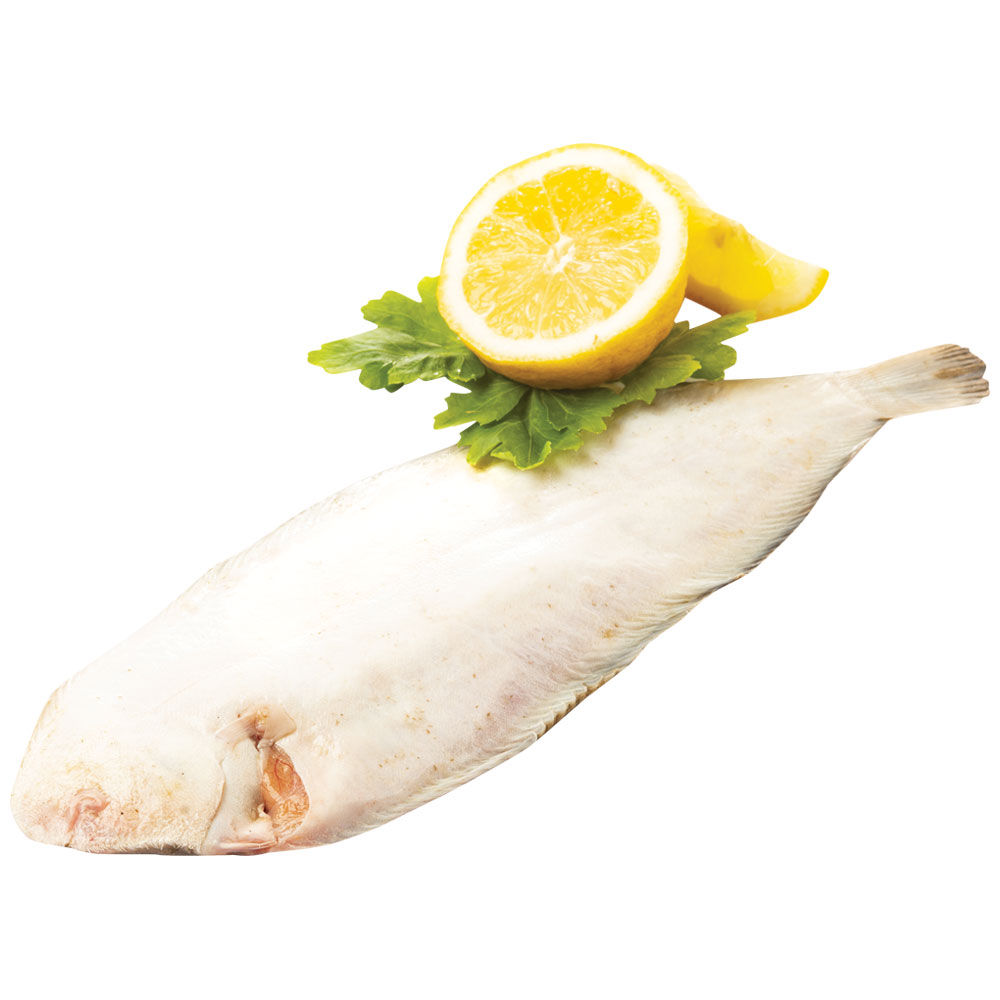 Sogliole del Mediterraneo