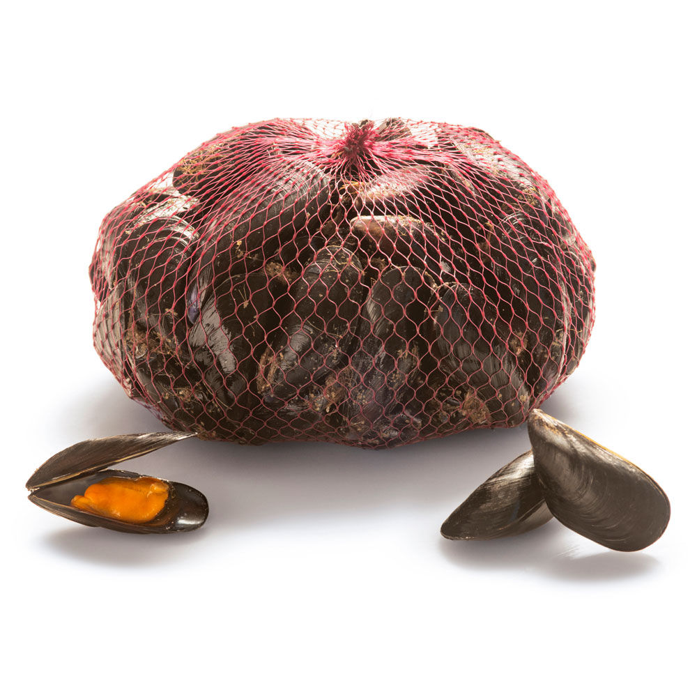 Cozze allevate golfo di Follonica