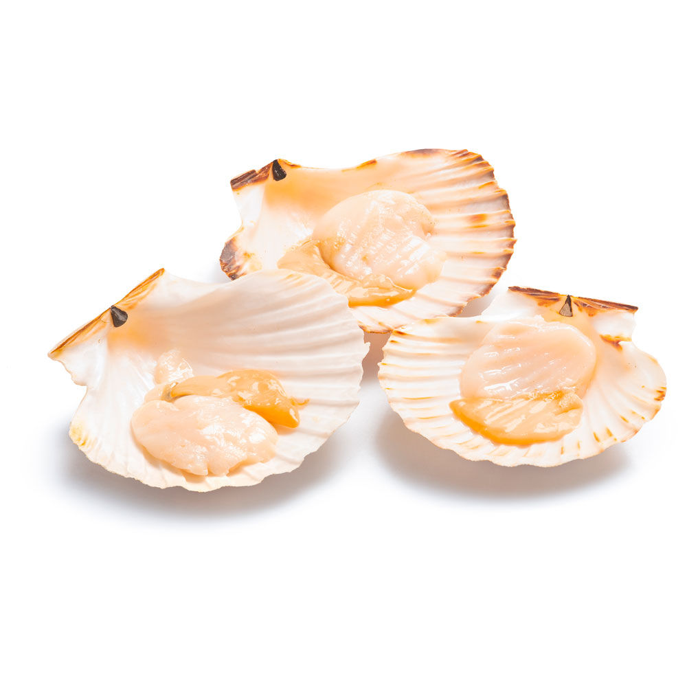 Capesante mezzo guscio decongelate