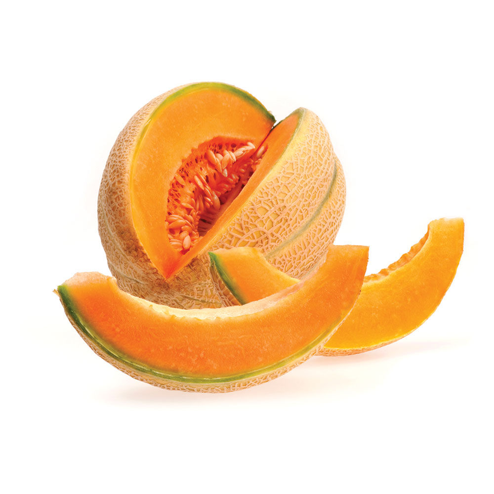 Melone retato